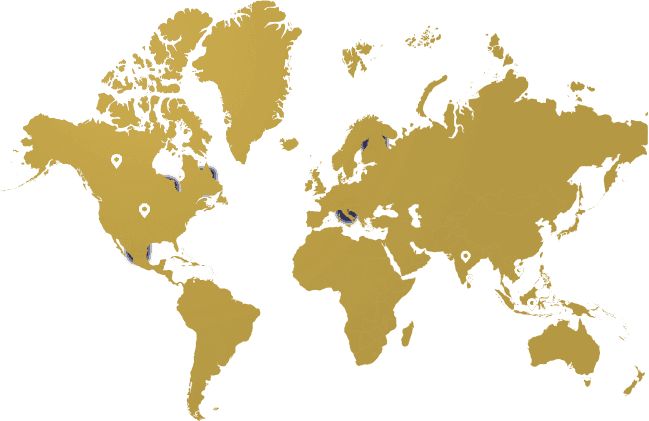World Map